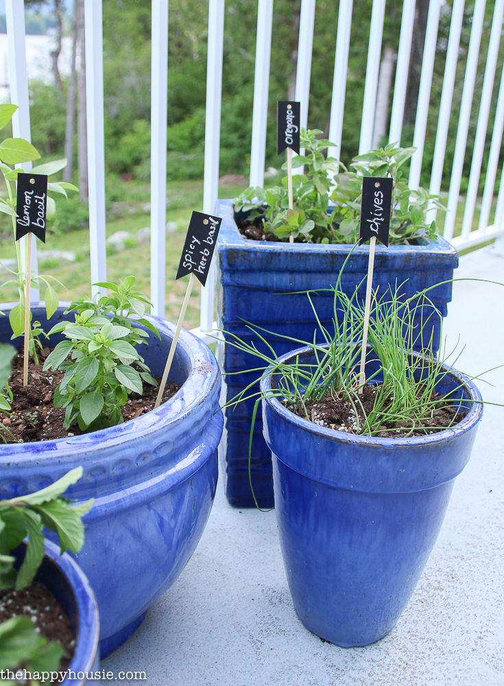 Plant your very own kitchen herb garden in pots so you can have fresh herbs at your fingertips all summer long 17
