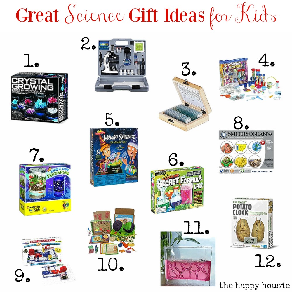 Great Science Gift Ideas for Kids  The Happy Housie