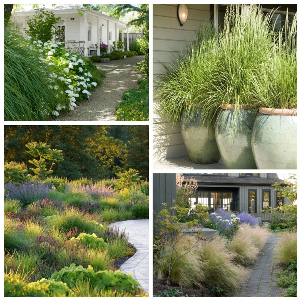 Landscaping With Ornamental Grasses The Happy Housie,Baked Chicken Breast Nutrition