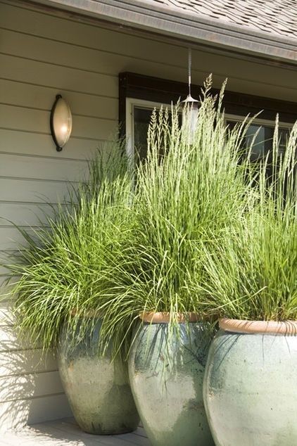 Large pots on an outdoor deck with large grass growing in the pots.