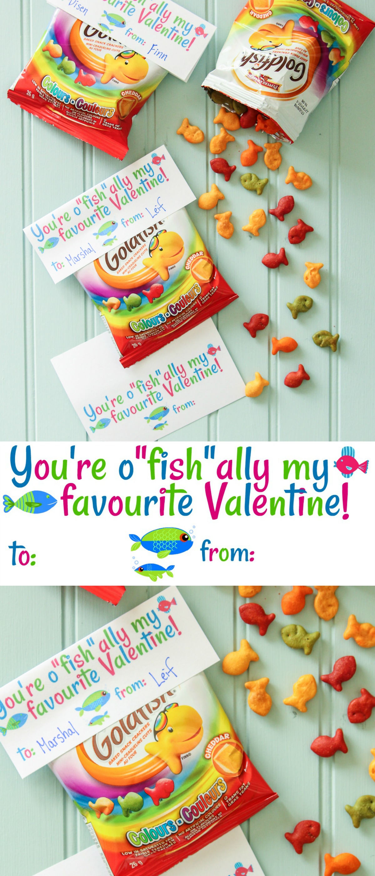 Adorable O Fish Ally Free Printable Valentines The Happy Housie