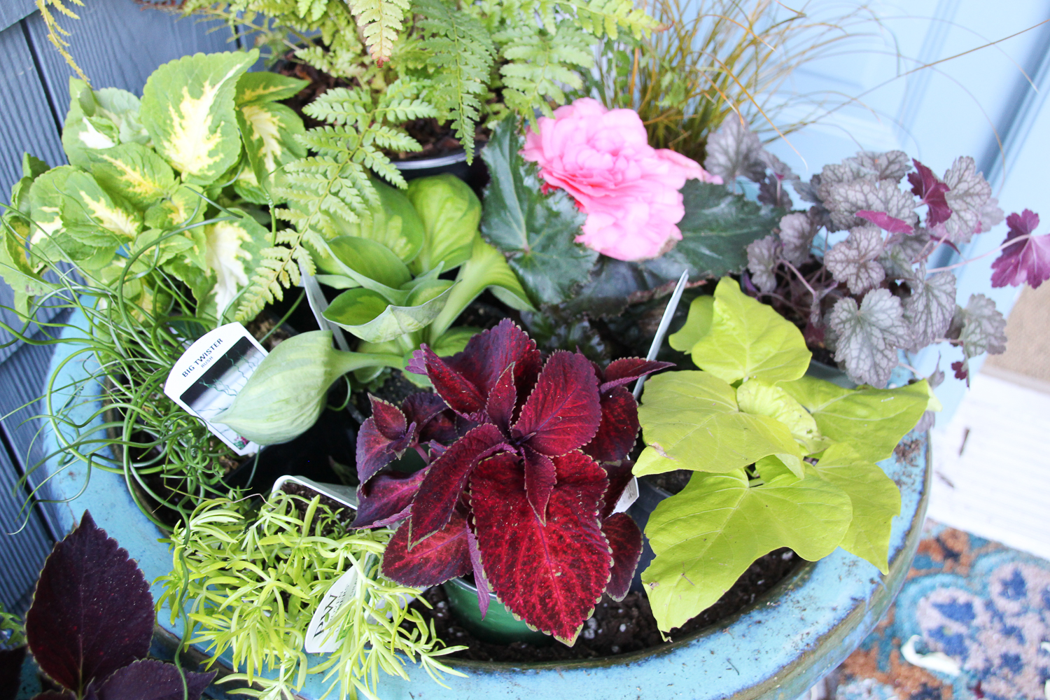 diy summer planters for shade | the happy housie
