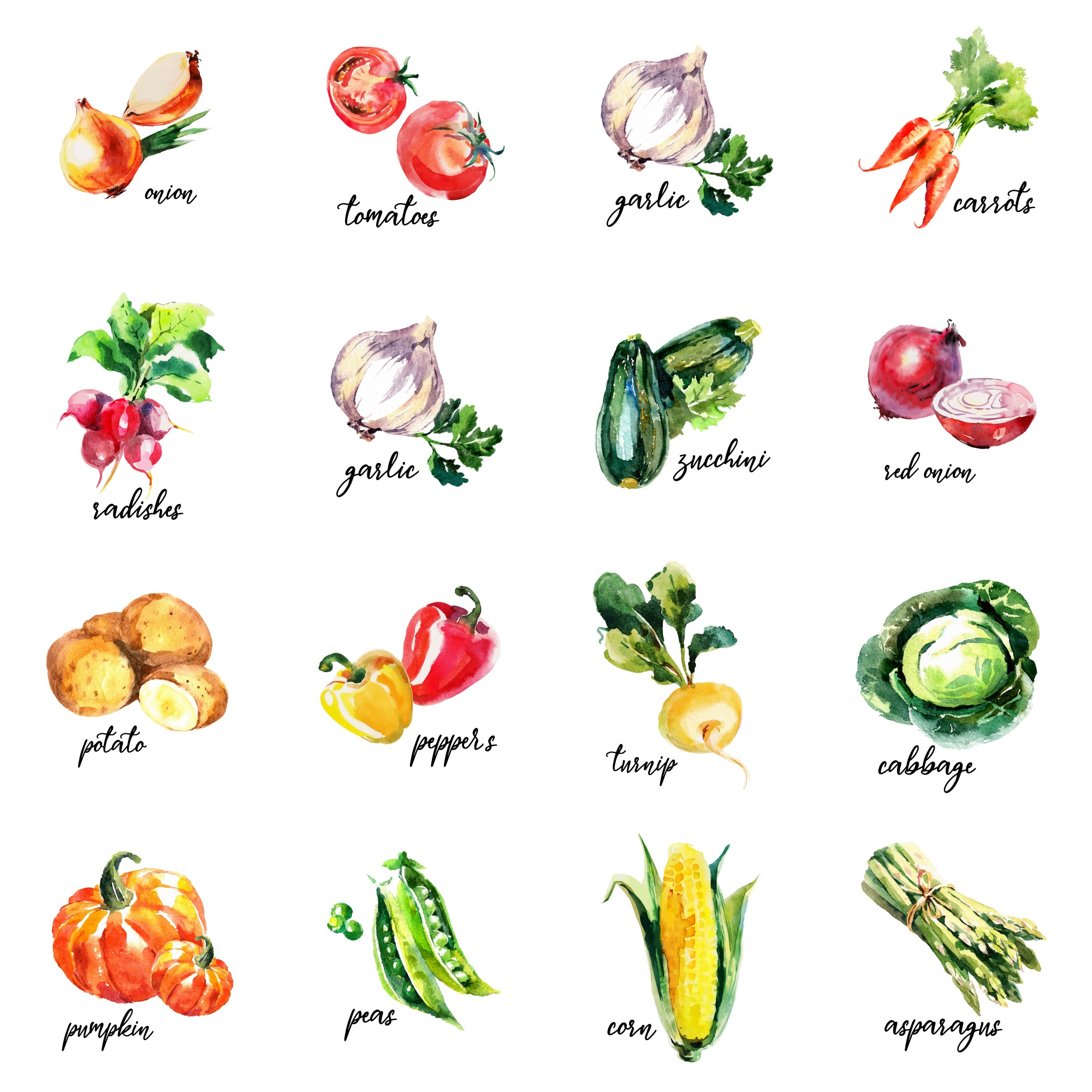 16 Free Watercolour Vegetable Kitchen Printables The Happy Housie