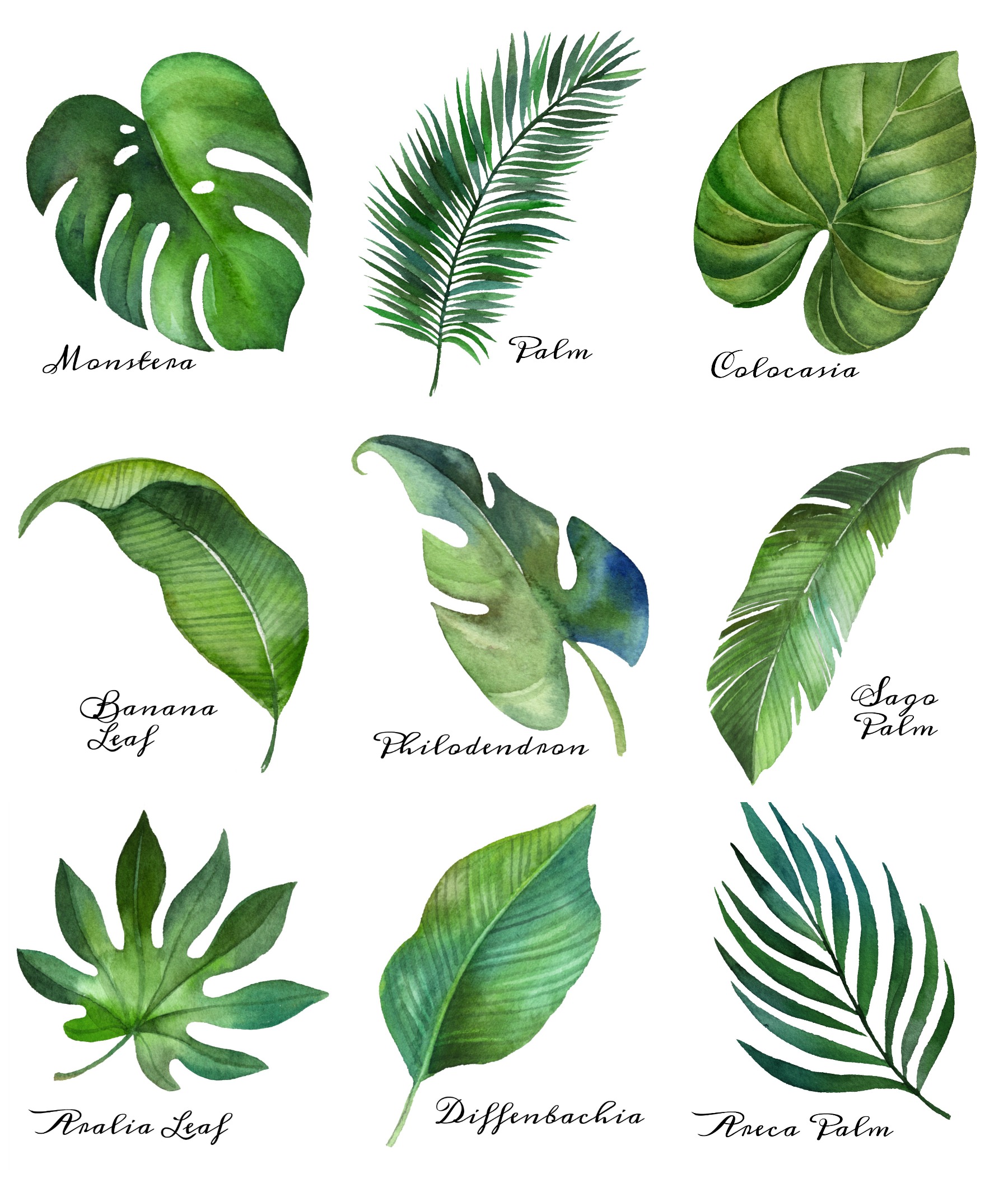 Tropical Leaf Free Printable Art Series Of 9 The Happy Housie