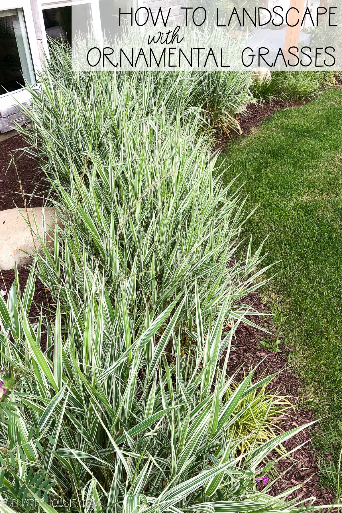 Ornamental Grasses In Your Landscaping, Landscaping With Ornamental Grasses Plans